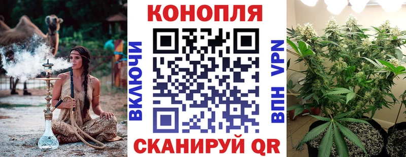 Канабис OG Kush  закладки  Гаджиево 